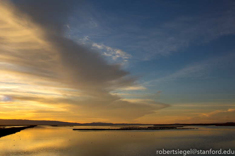 don edwards, alviso